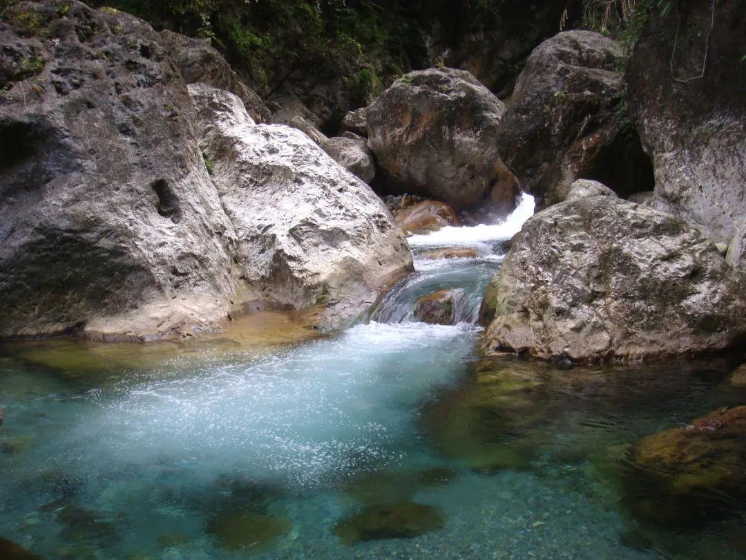 沪江开心词场
